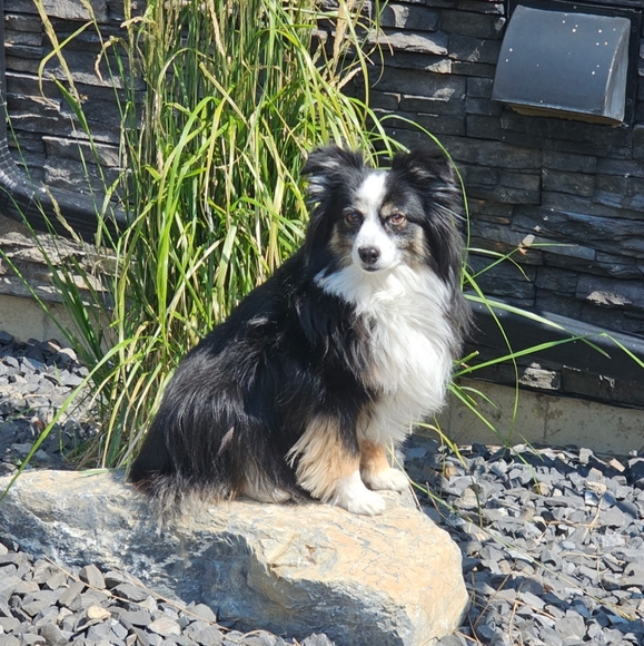 Meet your Posher, JD - Picture 1 of 1